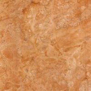 Gạch Trường Thịnh GENESIS SERIES Y88J73P